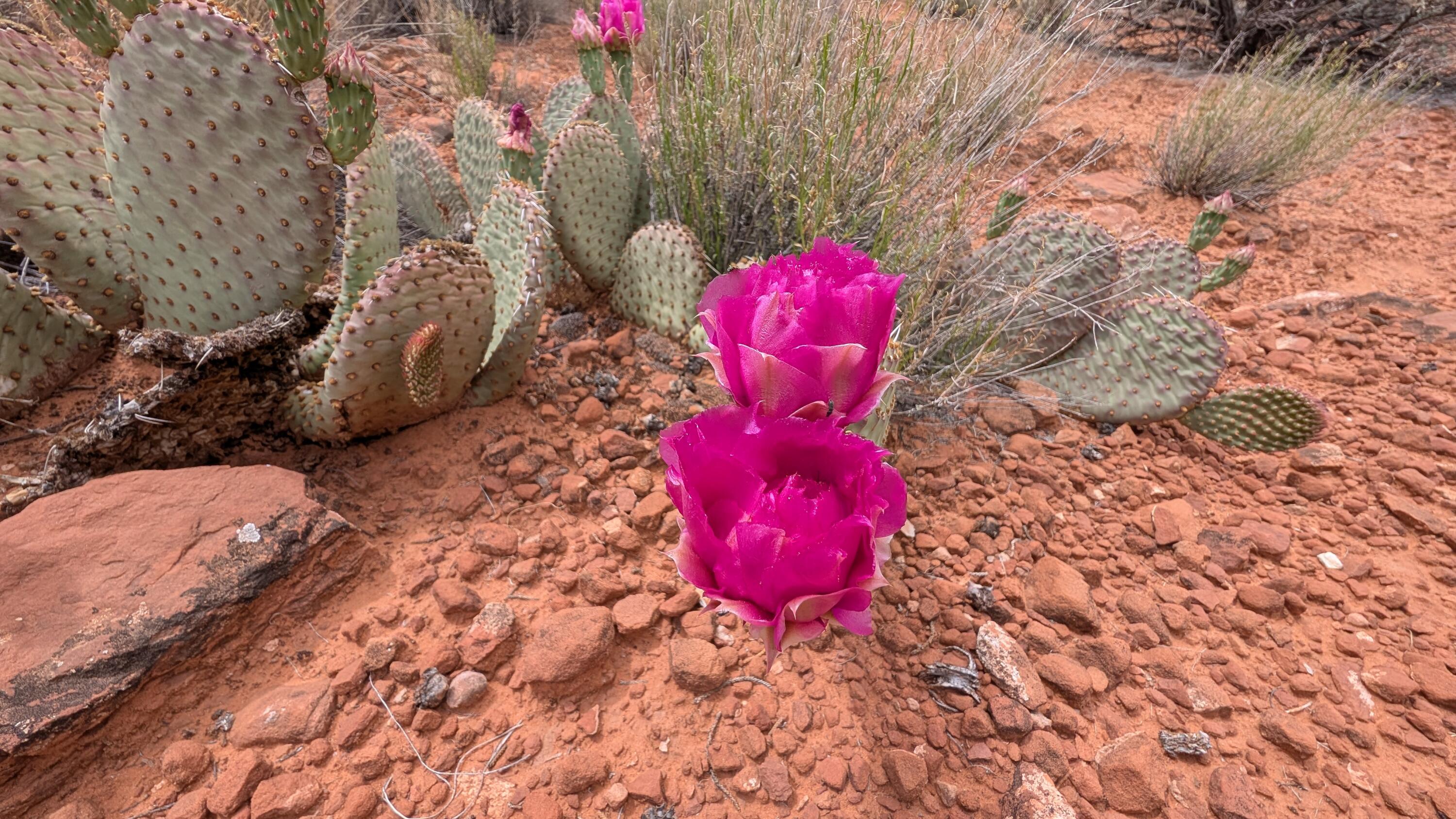 ROCKVILLE TOWNSITE - Land