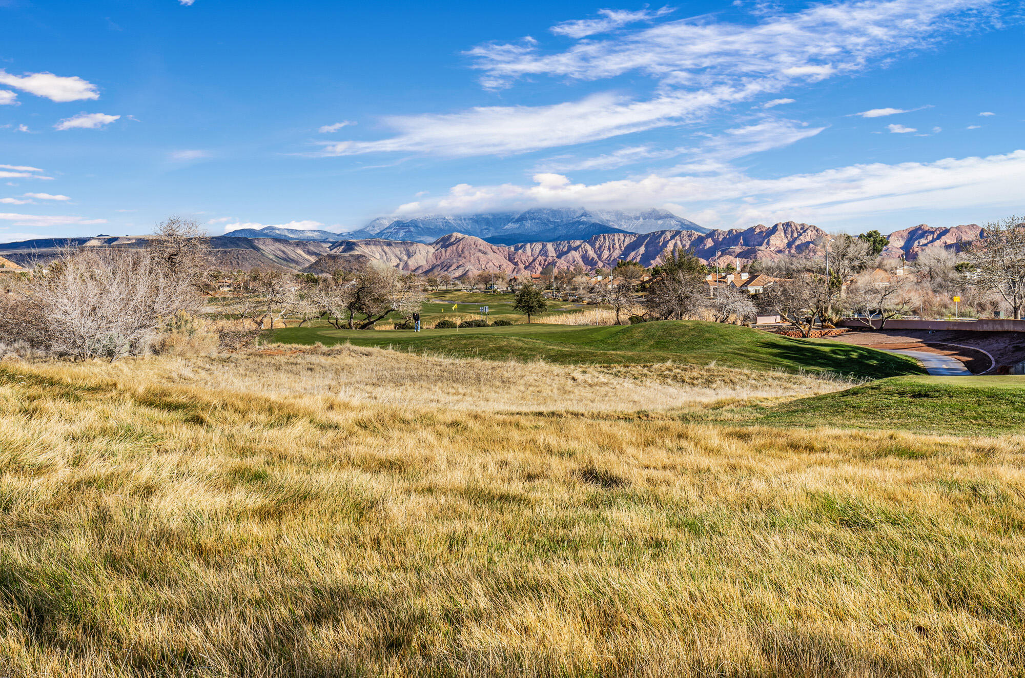 CHAPARRAL AT GREEN SPRING - Residential