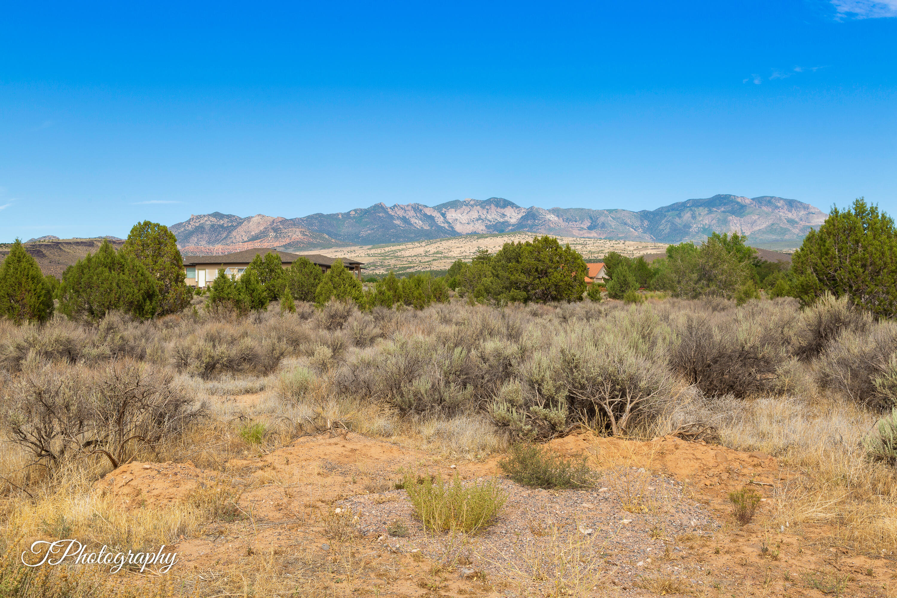 DAMMERON VALLEY HOMESTEADS - Land