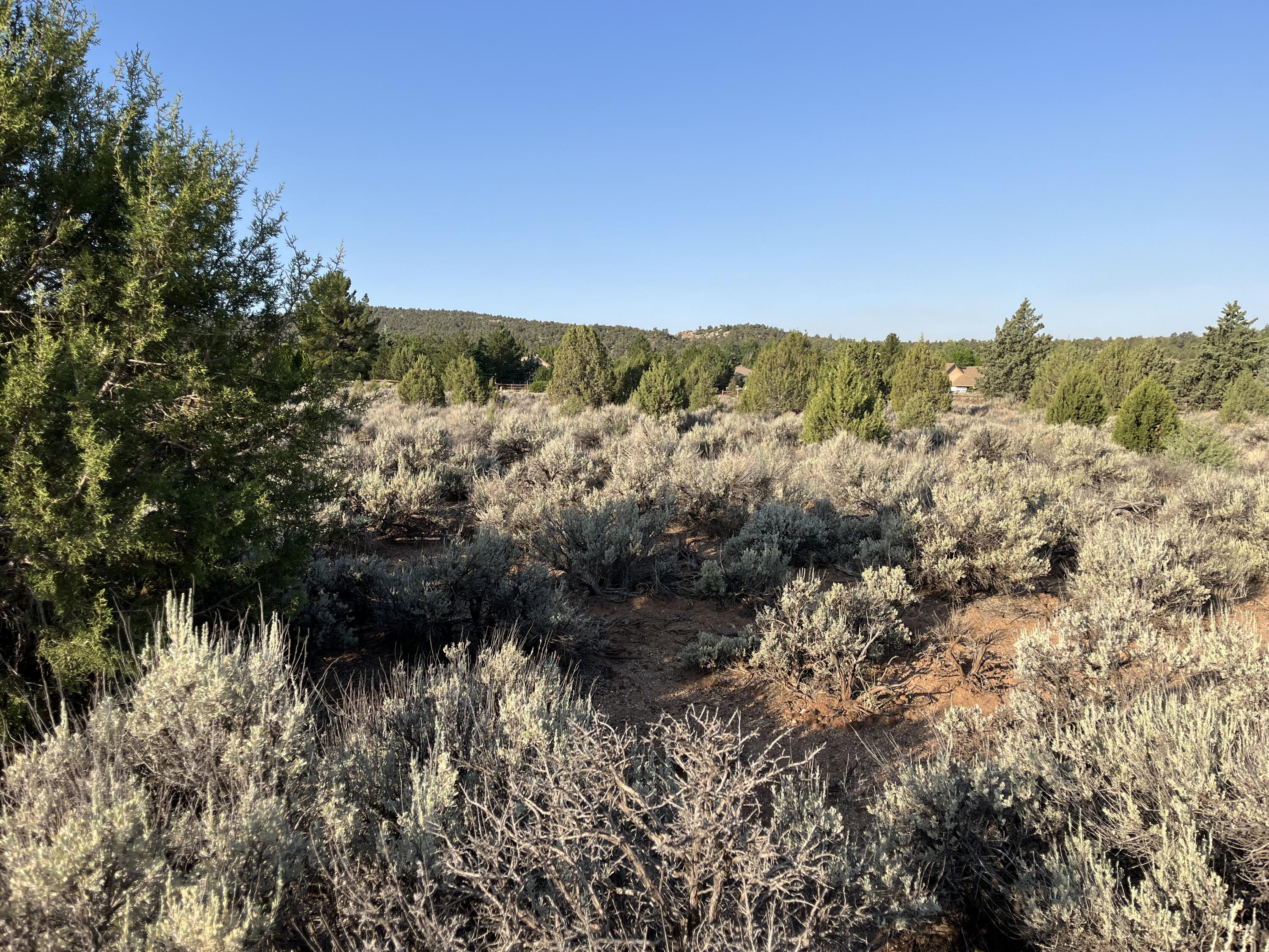 DAMMERON VALLEY HOMESTEADS - Land