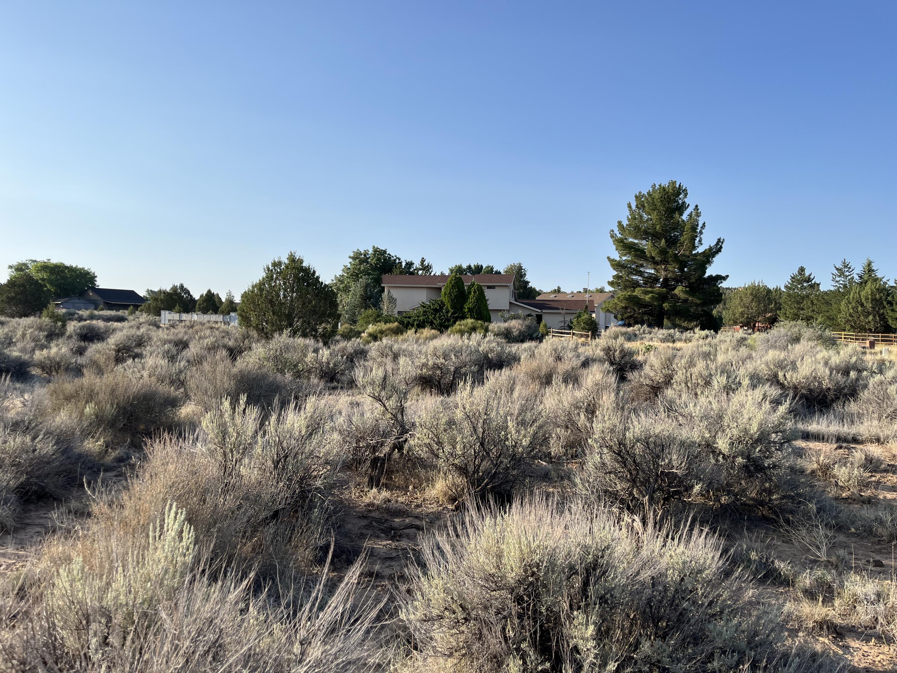 DAMMERON VALLEY HOMESTEADS - Land