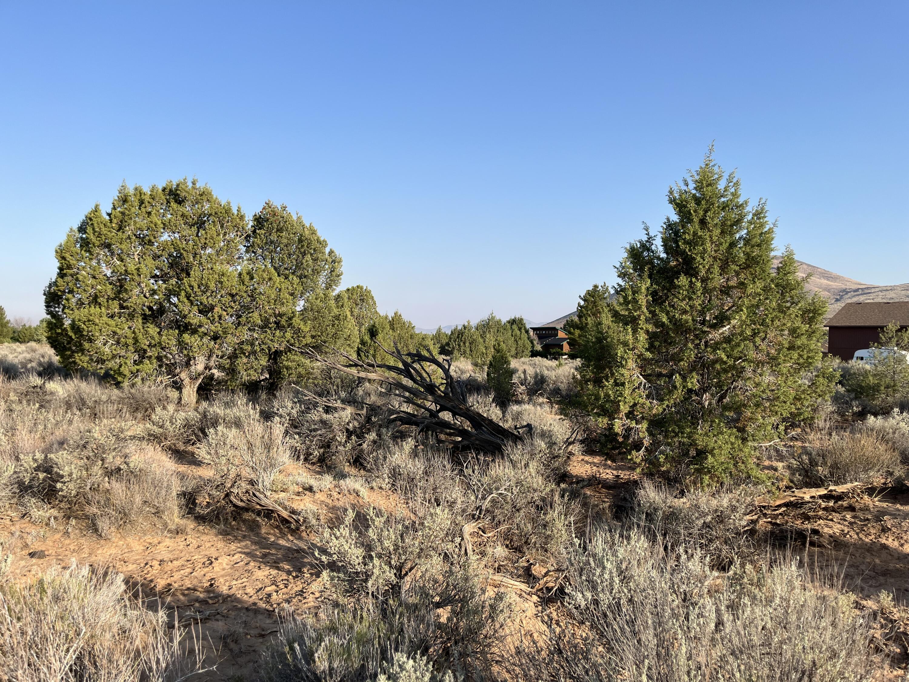 DAMMERON VALLEY HOMESTEADS - Land