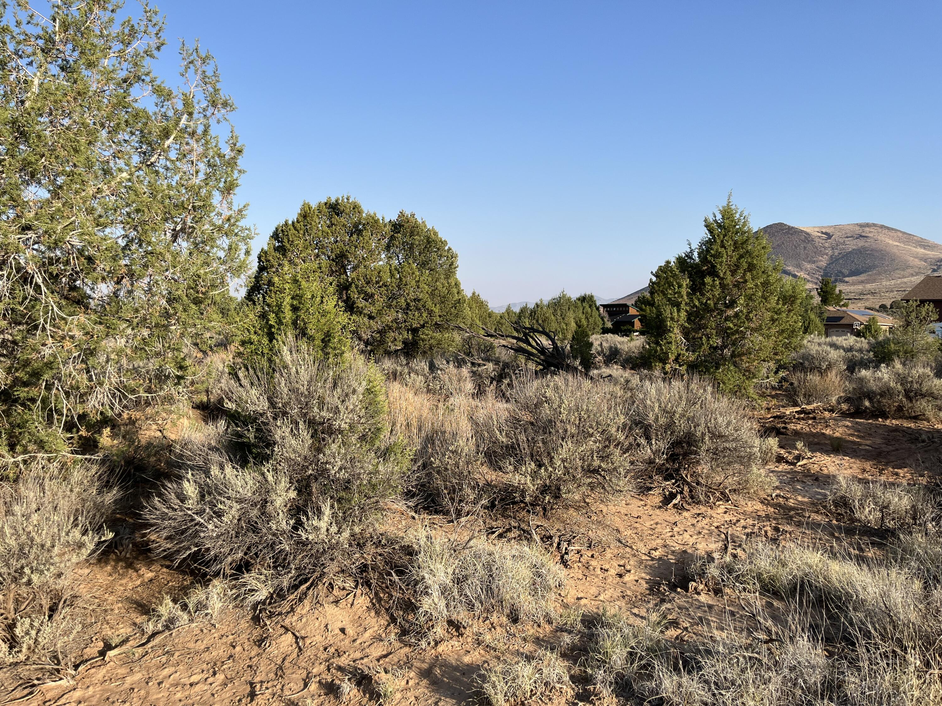 DAMMERON VALLEY HOMESTEADS - Land