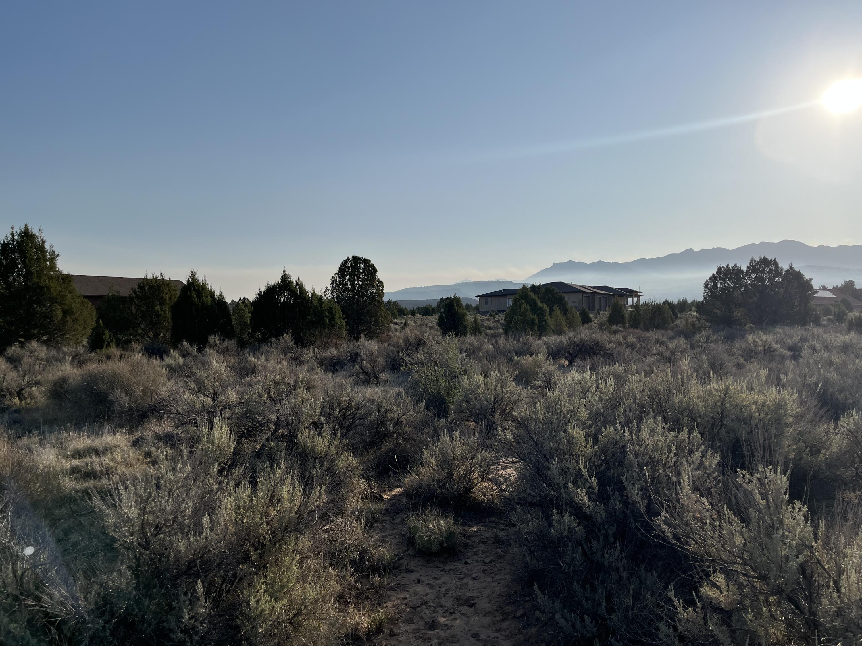 DAMMERON VALLEY HOMESTEADS - Land