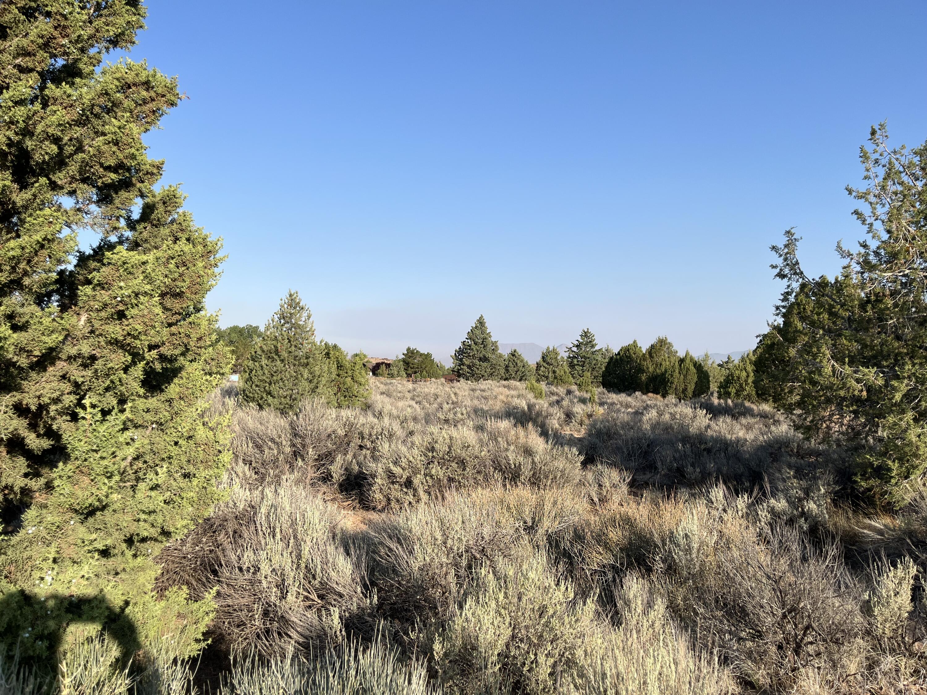 DAMMERON VALLEY HOMESTEADS - Land