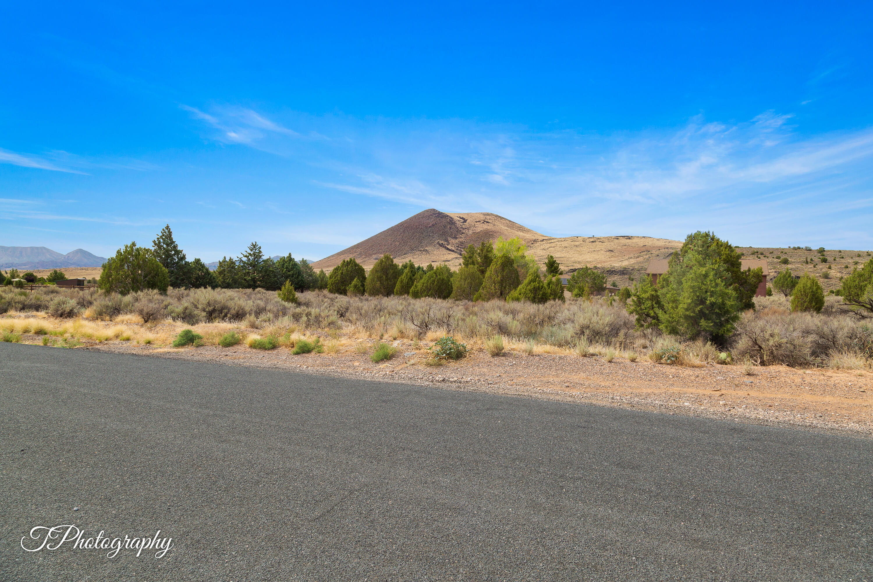 DAMMERON VALLEY HOMESTEADS - Land