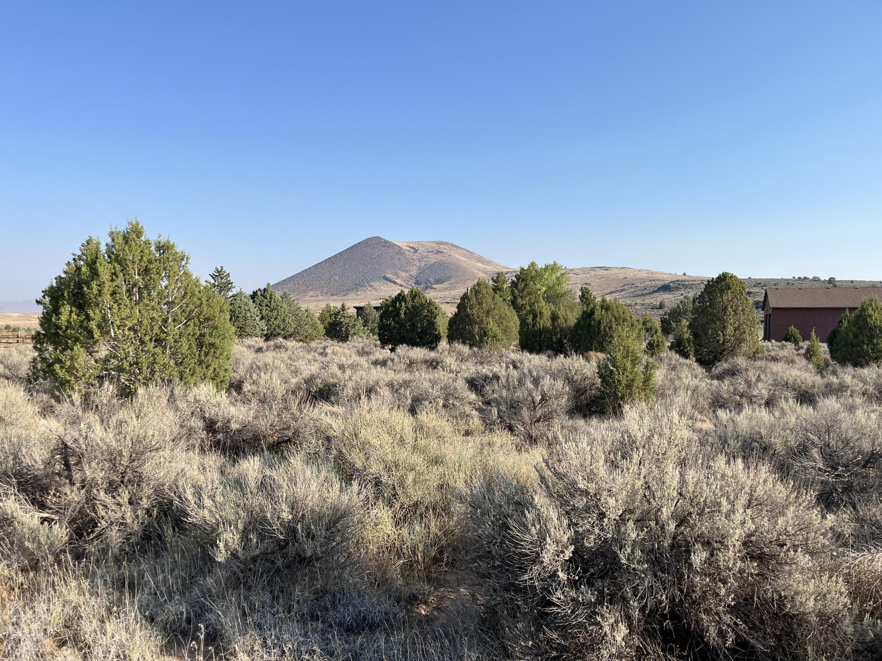 DAMMERON VALLEY HOMESTEADS - Land