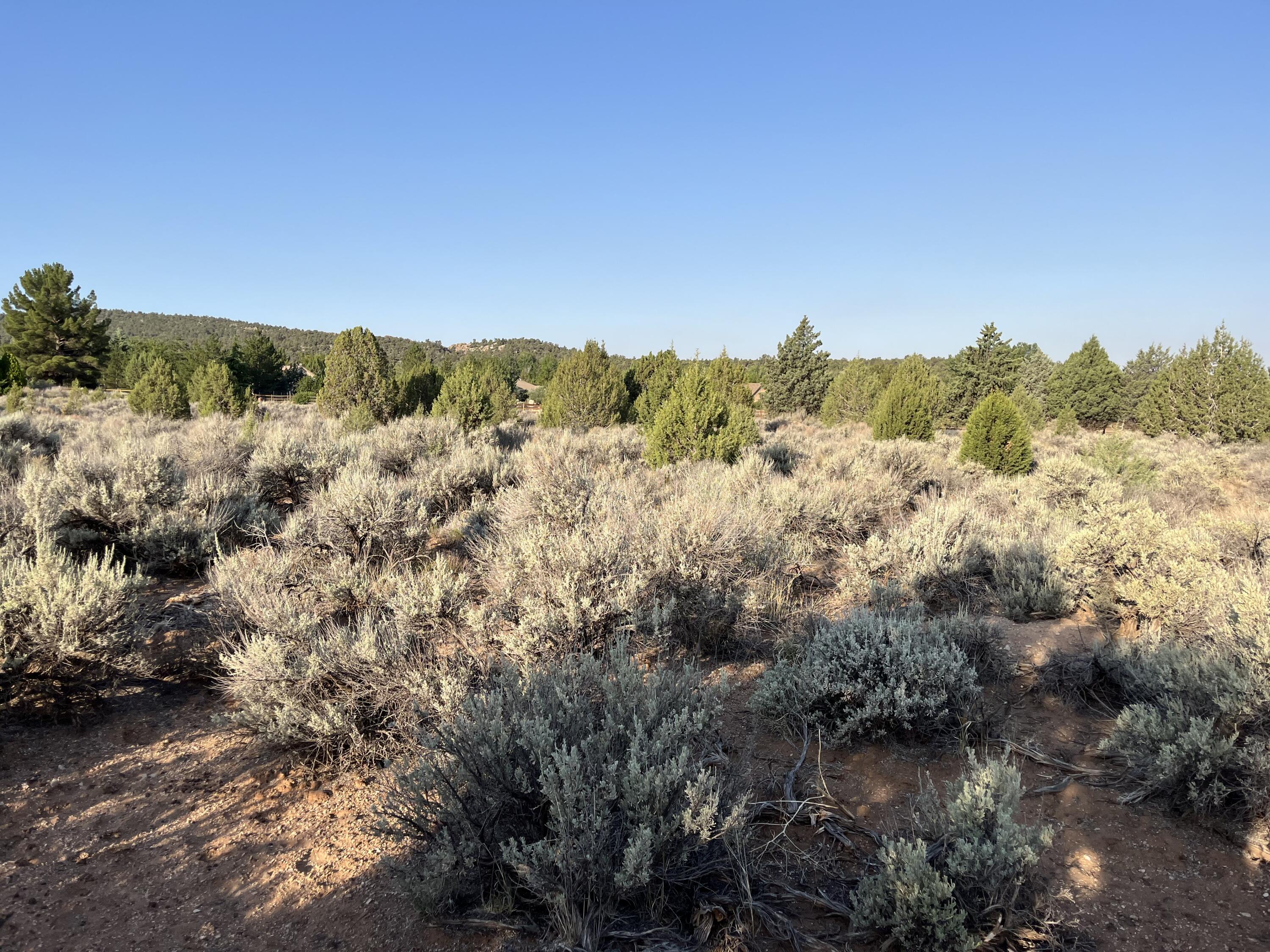 DAMMERON VALLEY HOMESTEADS - Land