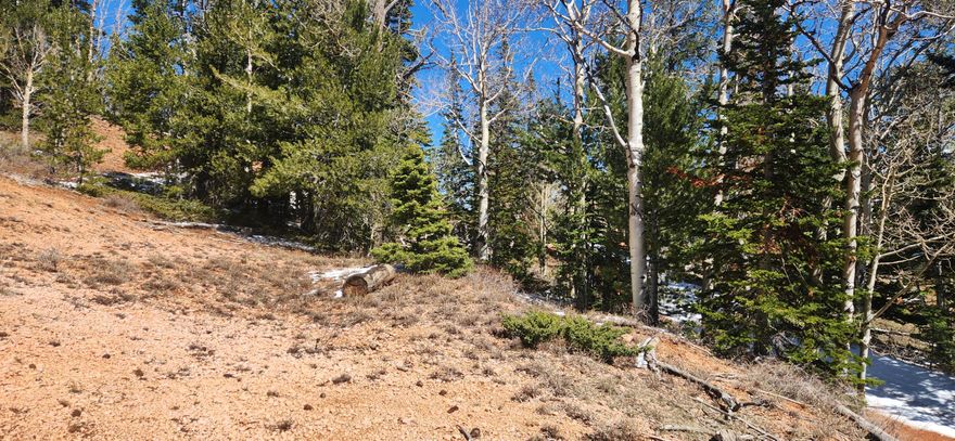 Great Building lot in Ski View estates with amazing views.