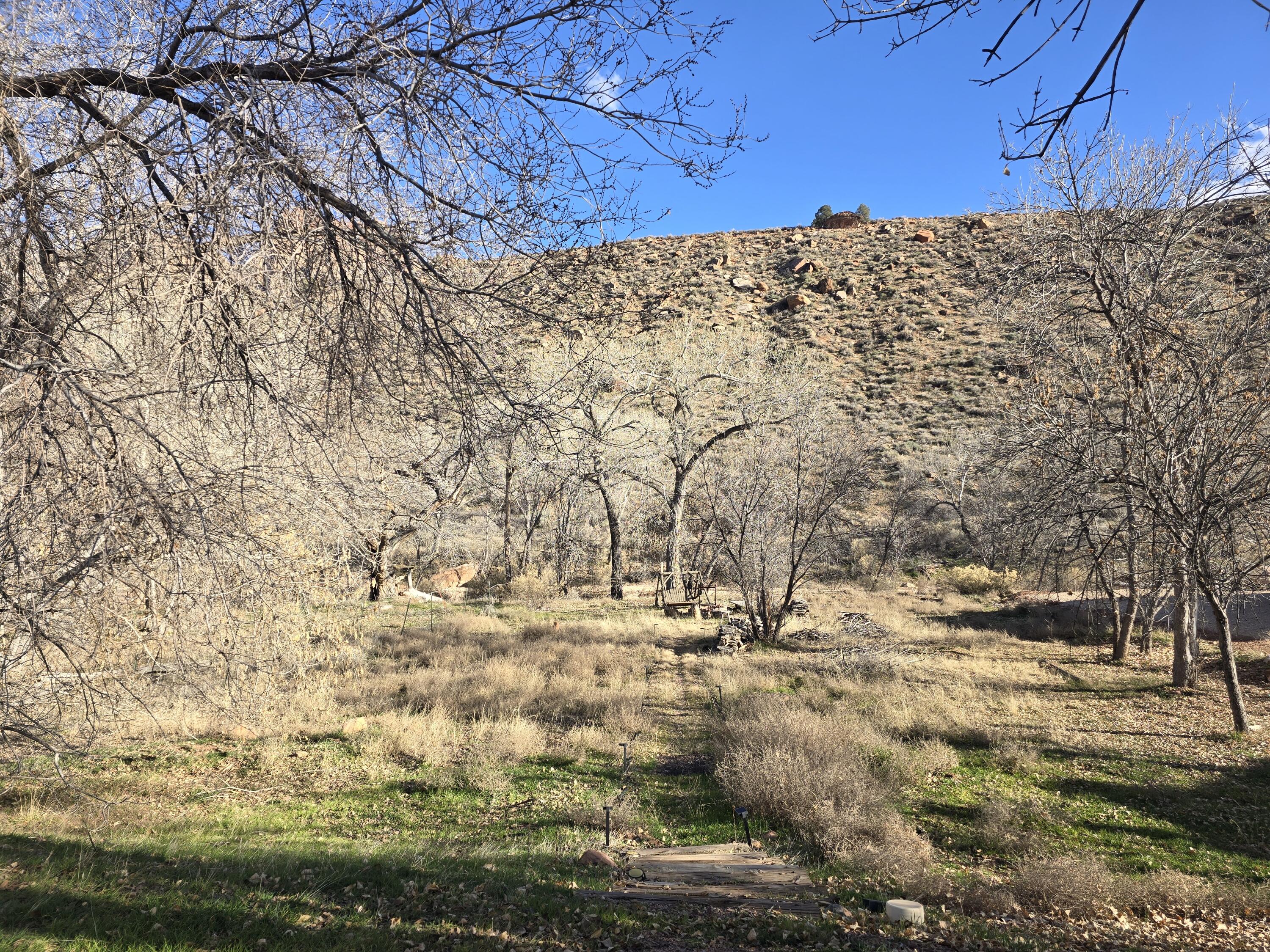 CANYON COTTONWOODS - Residential Income