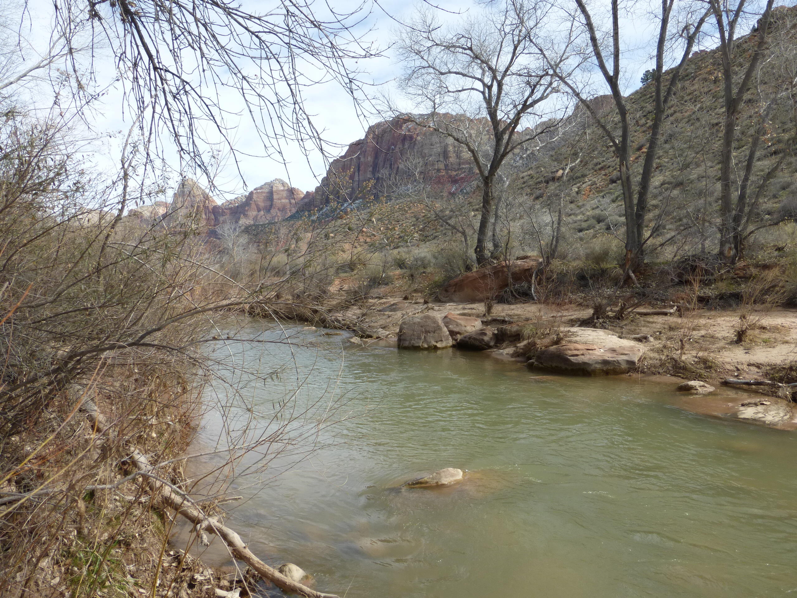 CANYON COTTONWOODS - Residential Income