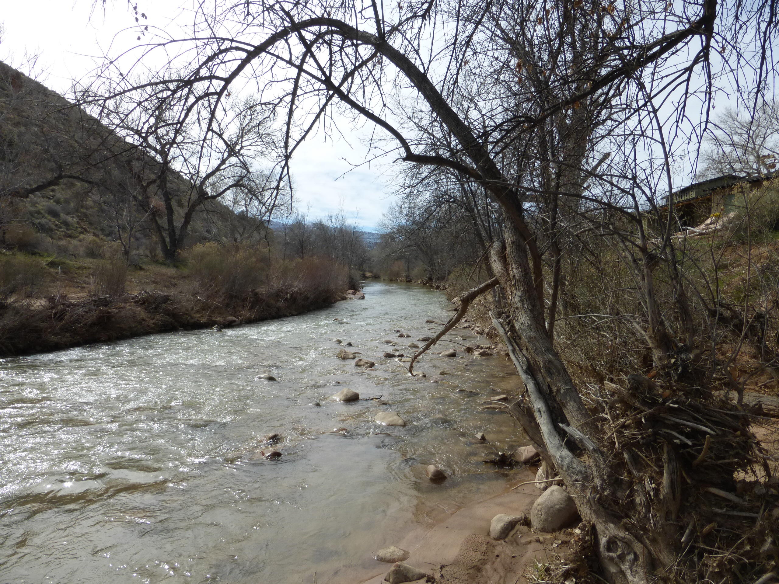 CANYON COTTONWOODS - Residential Income