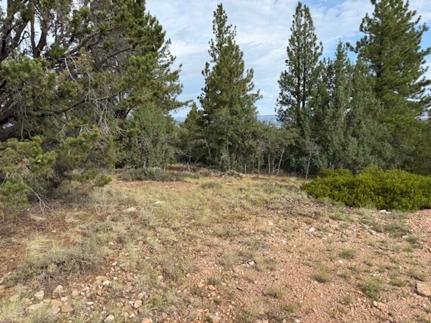 SELLER FINANCING AVAILABLE Bryce Woodlands is located on the Paunsaugunt Plateau, which is known for its enormous beauty, trophy mule deer and wildlife. Sightings of deer, elk and turkey are common. The tall pines, among the oak and many other species of trees provide year around beauty and the approximate 7600 feet elevation offer daytime temperatures in the spring and fall in the 70s. Wide-open vistas often offer visibility of 100 miles. The absence of urban light makes this area one of our country's best for stargazing. The setting 5 miles from US Highway 89 allows quiet reflection away from city and highway noise.Buyer to verify all fees associated with utilities with this property. The setting promotes neighbors getting together and the building of long-term friendships. There is also much to do nearby.