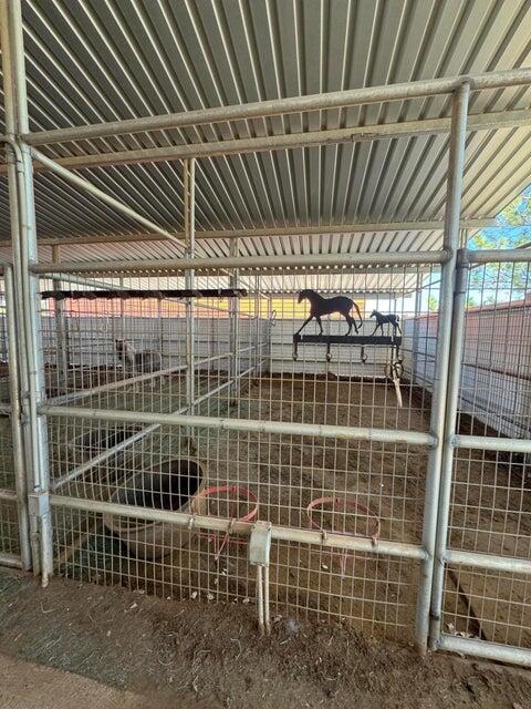 BLACKRIDGE RANCHES - Residential