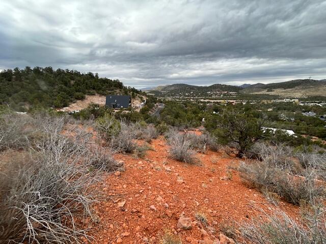 DIXIE DEER ESTATES - Land