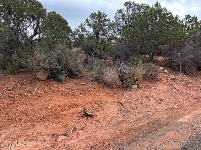 DIXIE DEER ESTATES - Land