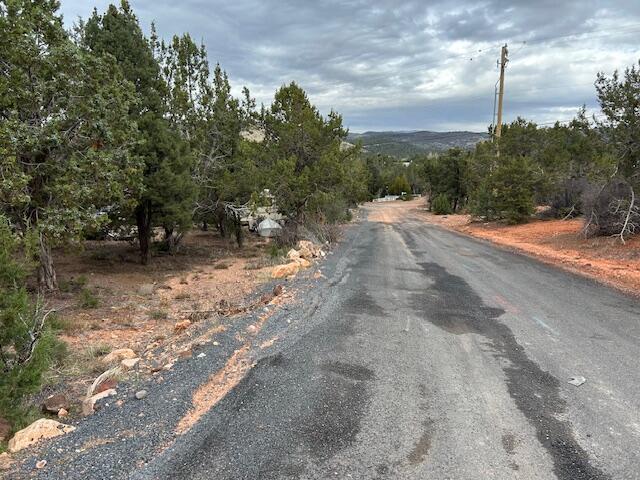 DIXIE DEER ESTATES - Land