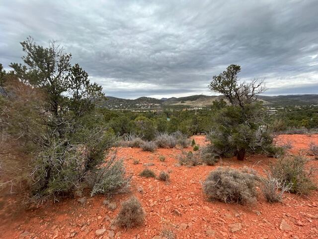 DIXIE DEER ESTATES - Land