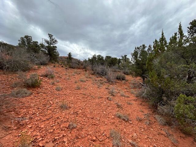 DIXIE DEER ESTATES - Land