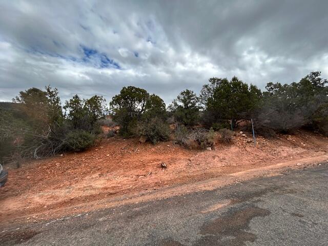 DIXIE DEER ESTATES - Land