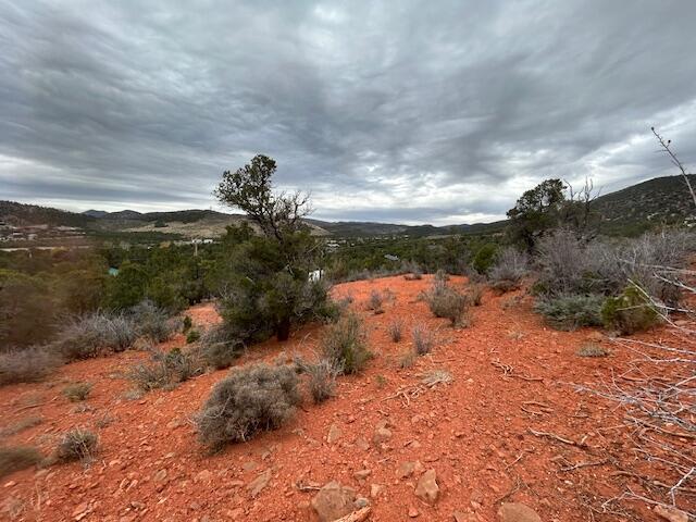 DIXIE DEER ESTATES - Land