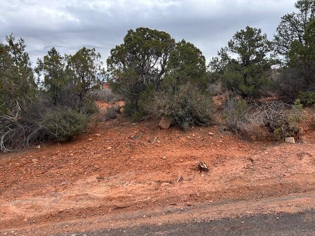 DIXIE DEER ESTATES - Land