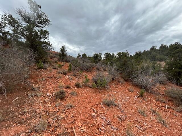 DIXIE DEER ESTATES - Land