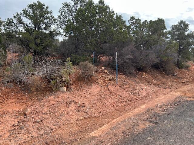 DIXIE DEER ESTATES - Land