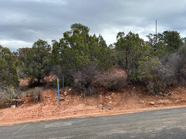 DIXIE DEER ESTATES - Land