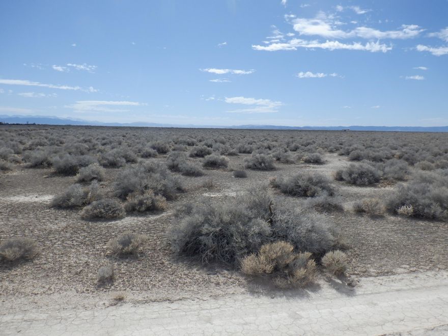 Escape the hustle and bustle with this spacious 0.33-acre lot in Beryl, Utah! This flat, buildable land offers endless potential for a custom home, manufactured home, or investment property. Enjoy stunning desert landscapes, open skies, and quiet rural living while still being within reach of Cedar City and St. George. Whether you're looking for a weekend getaway, off-grid living, or a future homestead, this lot provides an excellent opportunity. Don't miss out on this affordable land investment—contact us today!