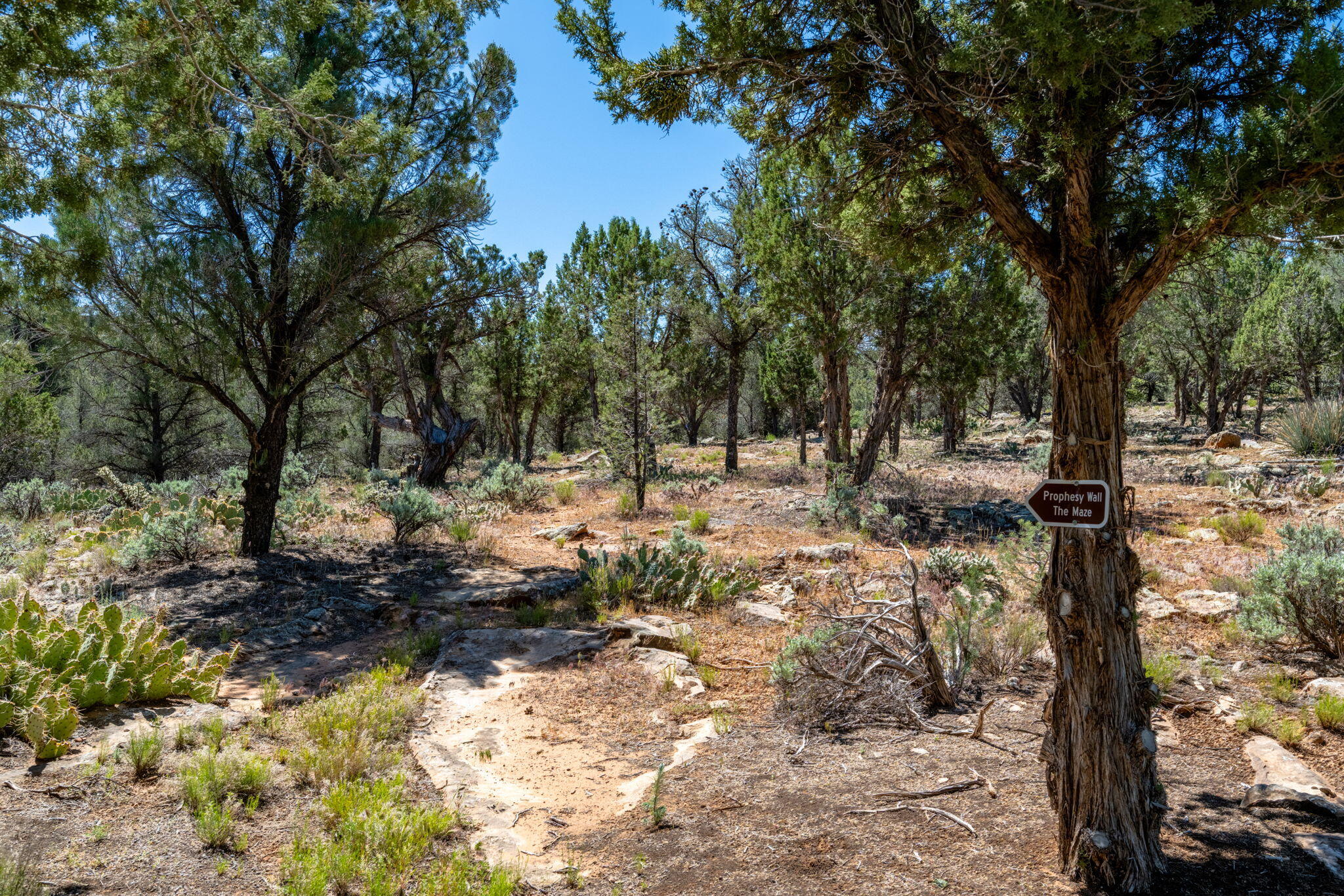 PINION HILLS - Residential