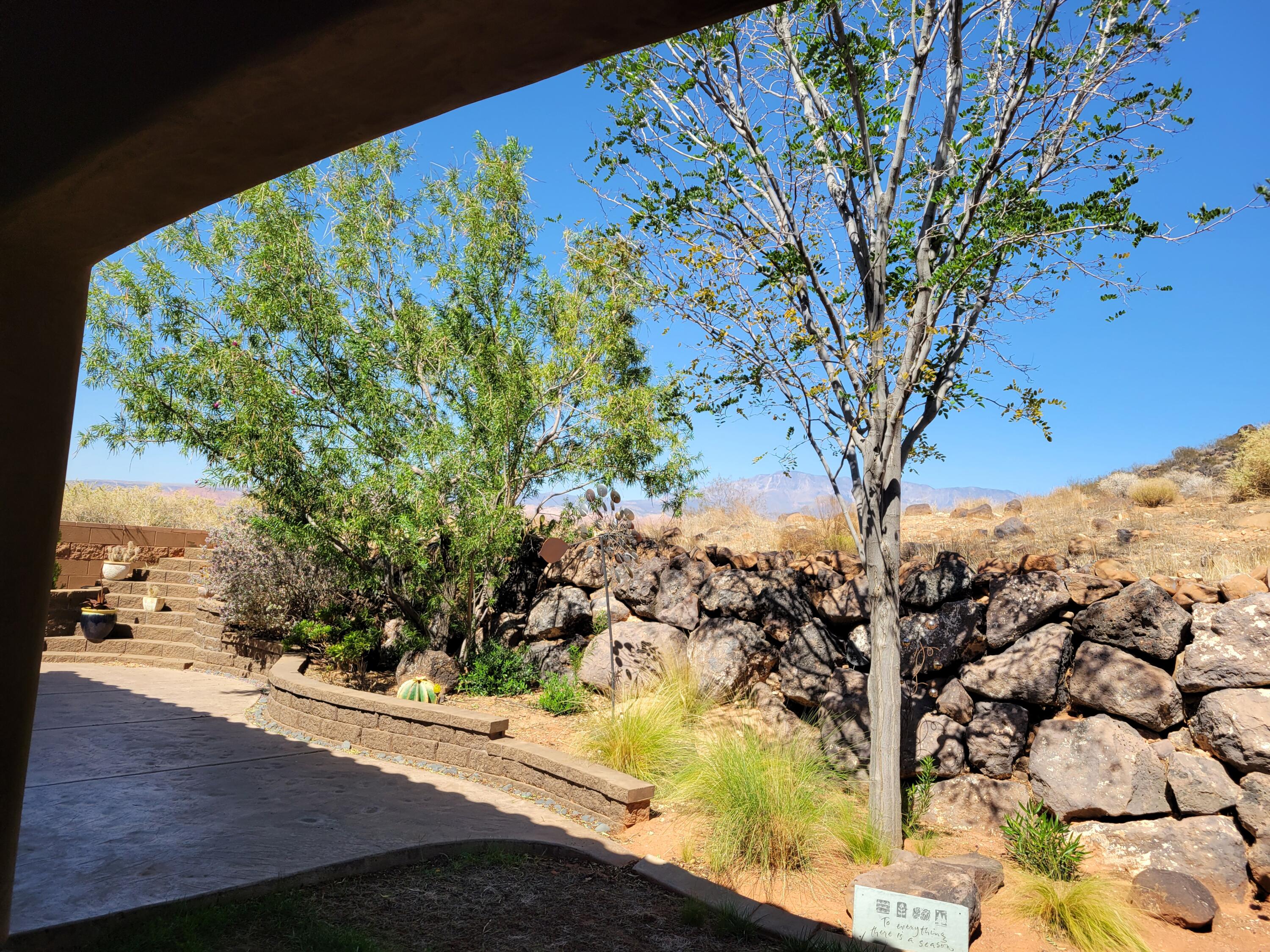 DIXIE SPRINGS - Residential