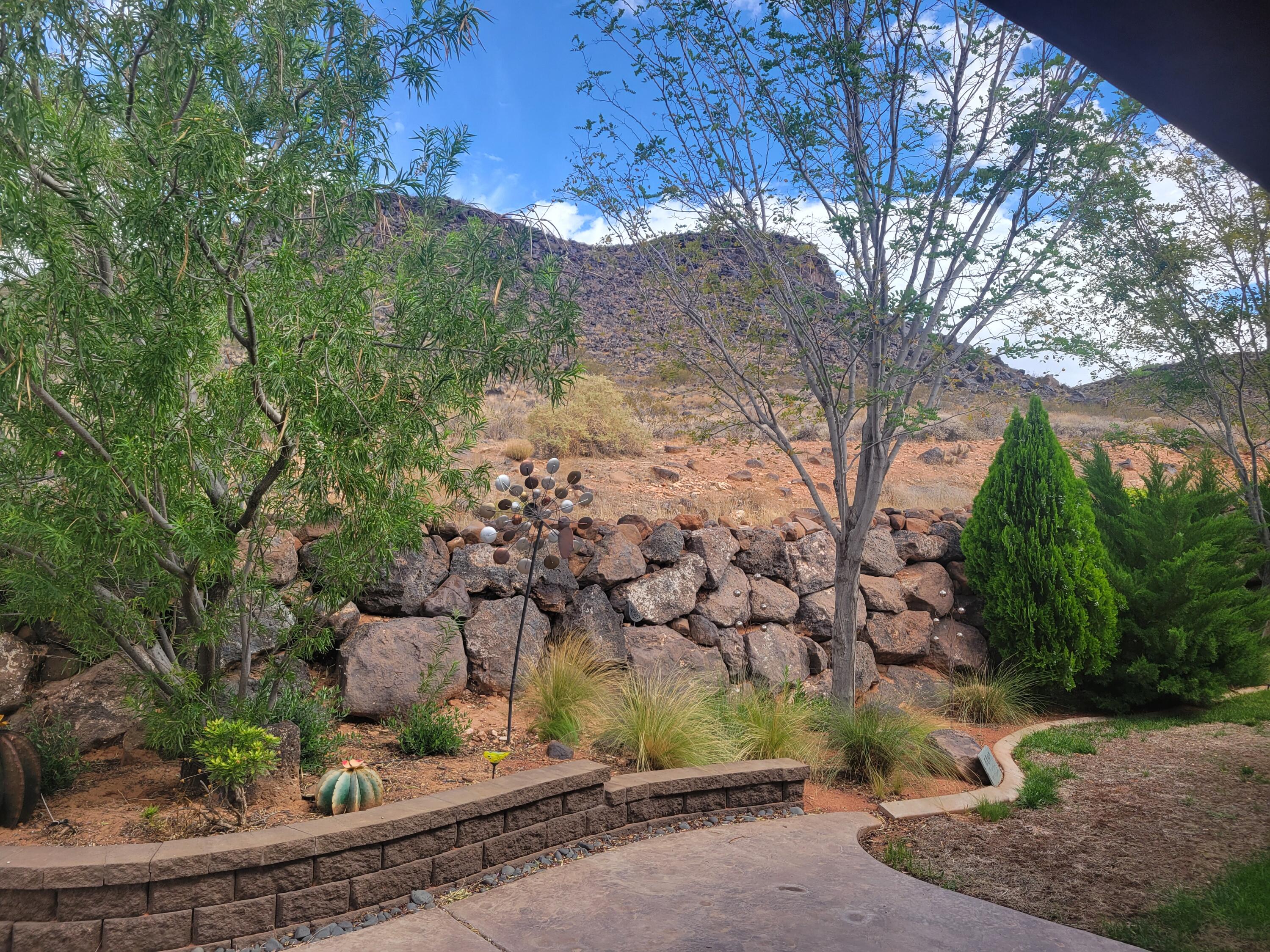 DIXIE SPRINGS - Residential