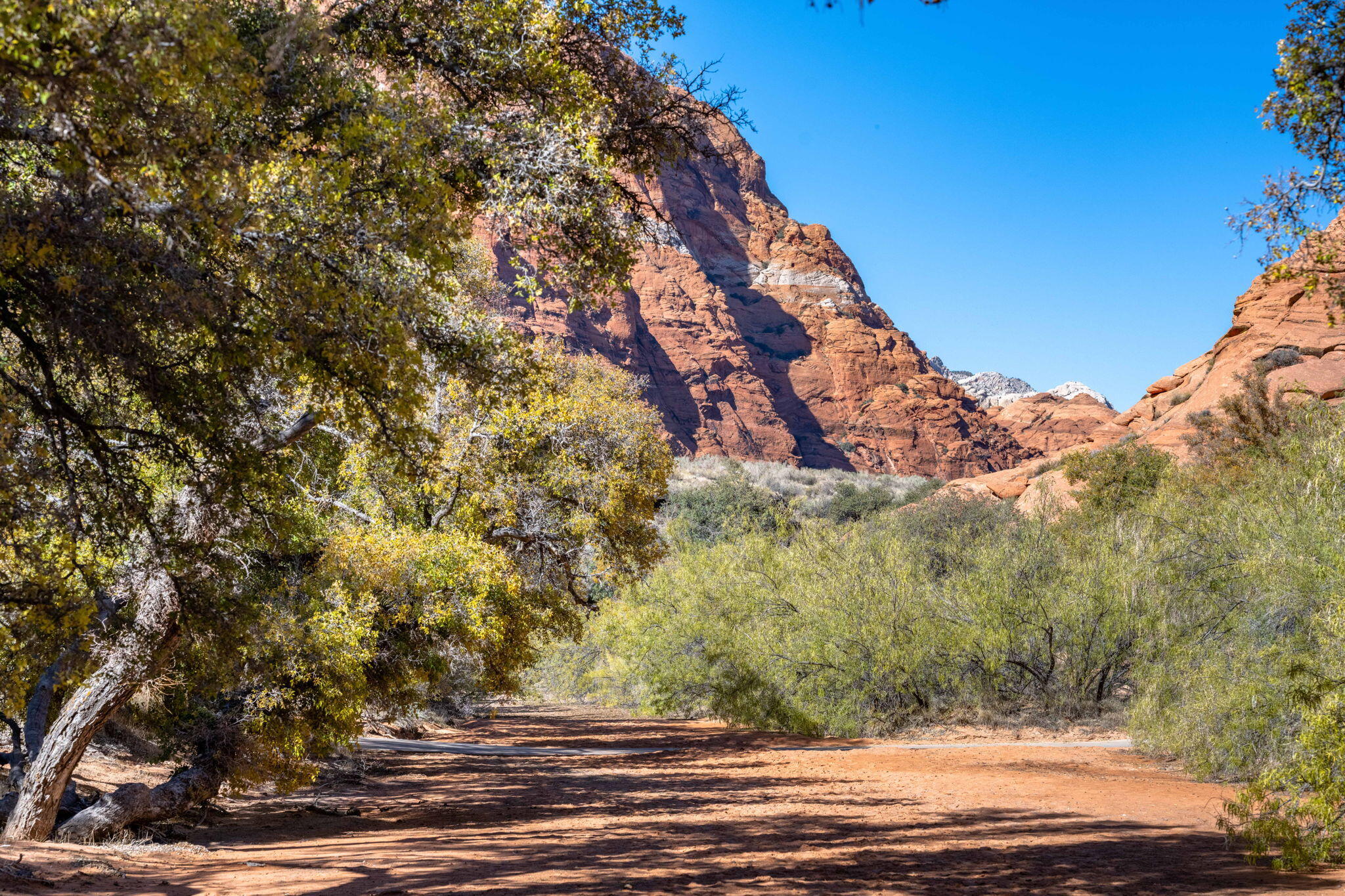 PADRE LAKES TOWNHOMES - Residential