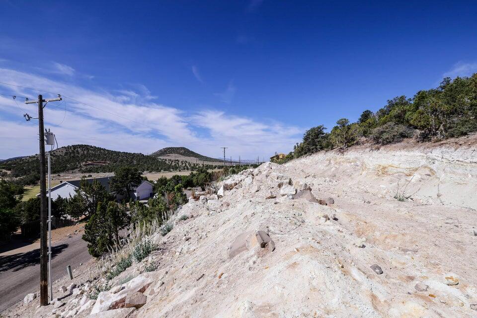 DIXIE DEER ESTATES - Land