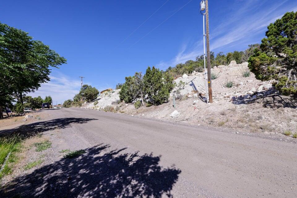 DIXIE DEER ESTATES - Land