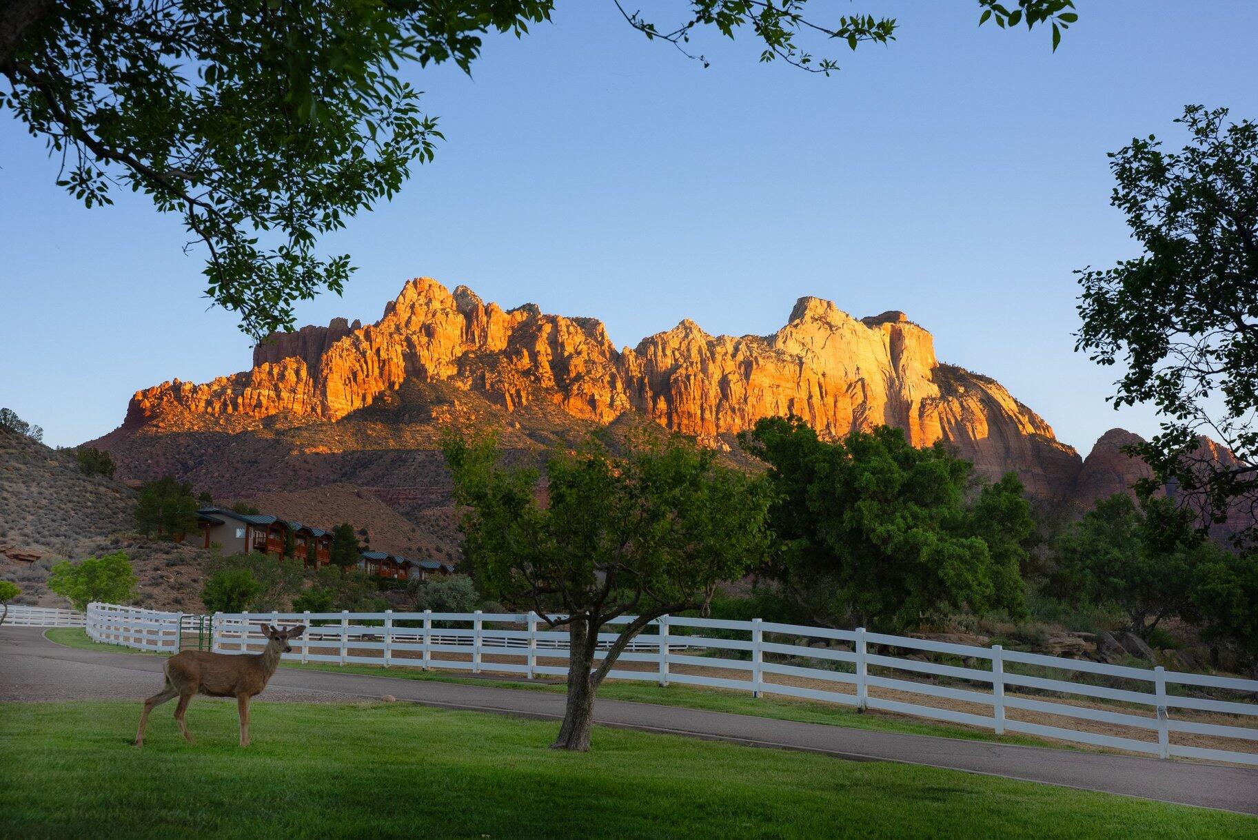SPRINGDALE TOWNSITE - Residential