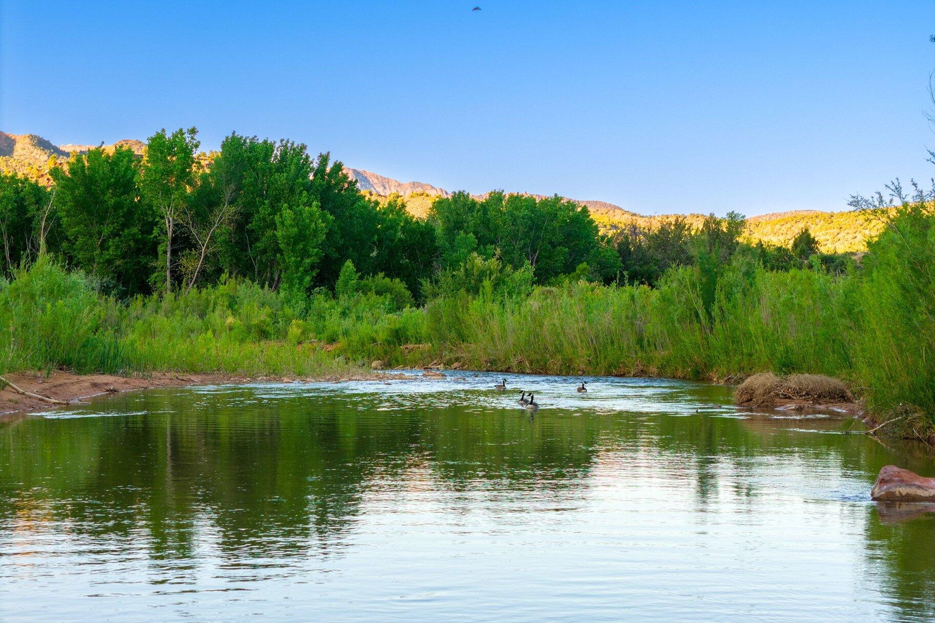 SPRINGDALE TOWNSITE - Residential