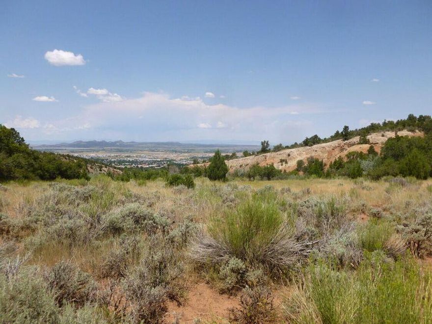 access described on documents 60 ft width   ,off 680S400E 160 acres with Township descriptions all contiguous,rough grade road in and thru property,8 twenty acre parcels,D-1009-0000-0002,3,4,5,6 D-1009-0007-0000 7.62 ACF ground & surface water rights permit #73-319& 73-320 registered in owners name w/State Engineer,priorty date 1856 4 twenty ac parcels appear to be level w/meadow listing agent has maps,see docs 66 ft access easement 1274 ft long described on deed  DESCRIBED ON THE LATEST PRELIM as insurable access