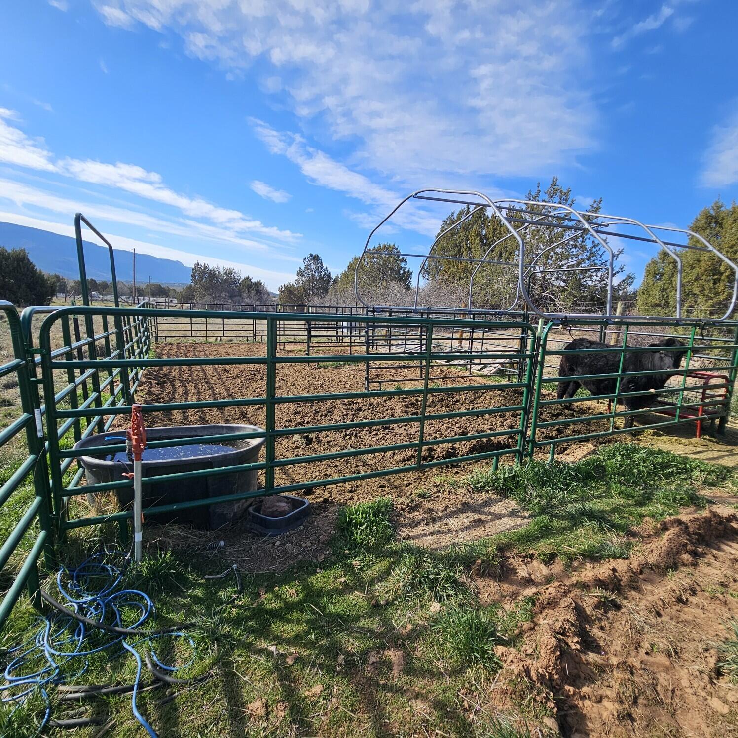 BLACKRIDGE RANCHES - Residential