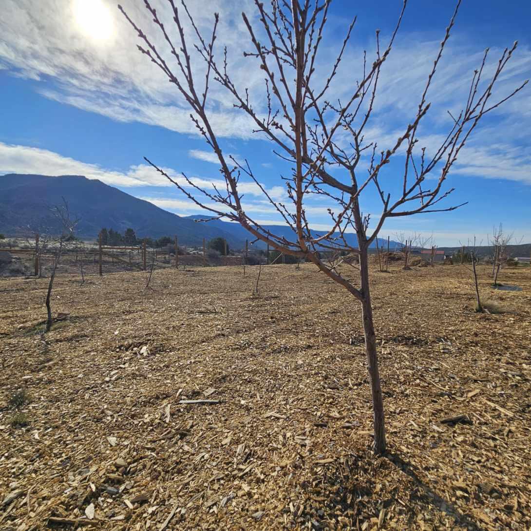 BLACKRIDGE RANCHES - Residential