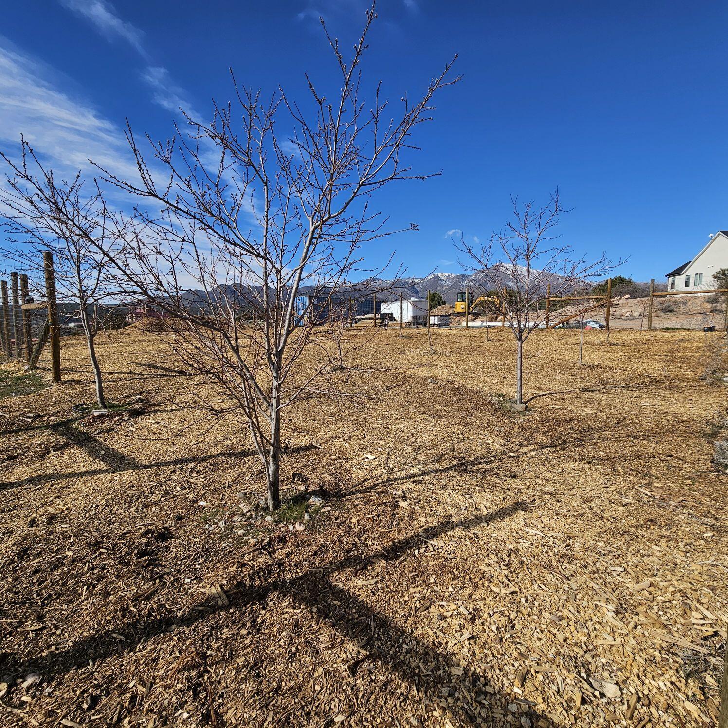 BLACKRIDGE RANCHES - Residential