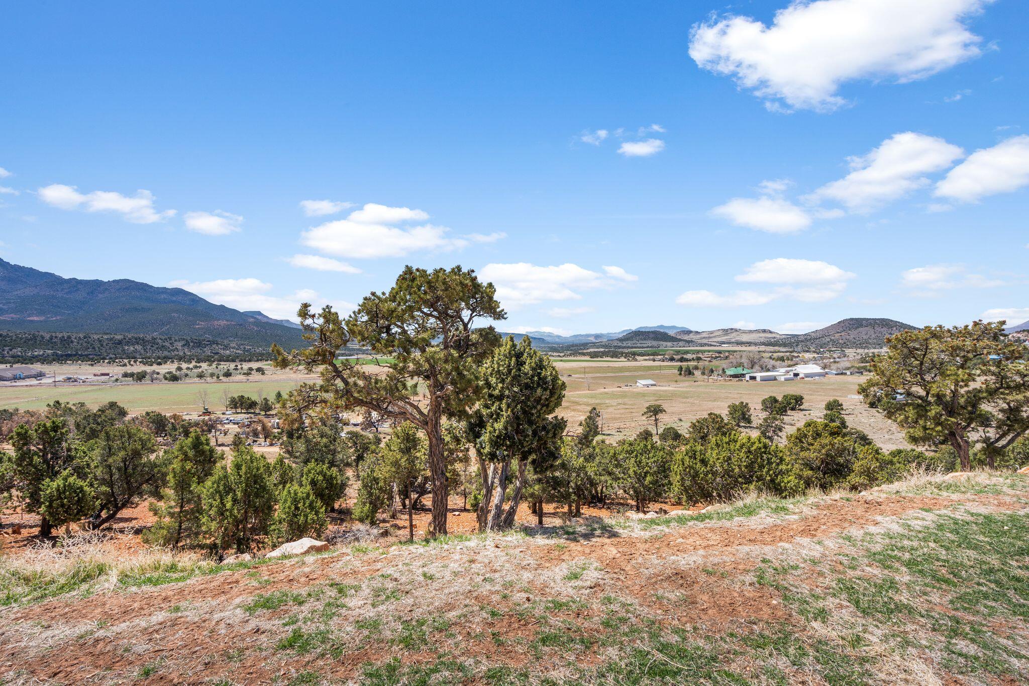 DIXIE DEER ESTATES - Residential