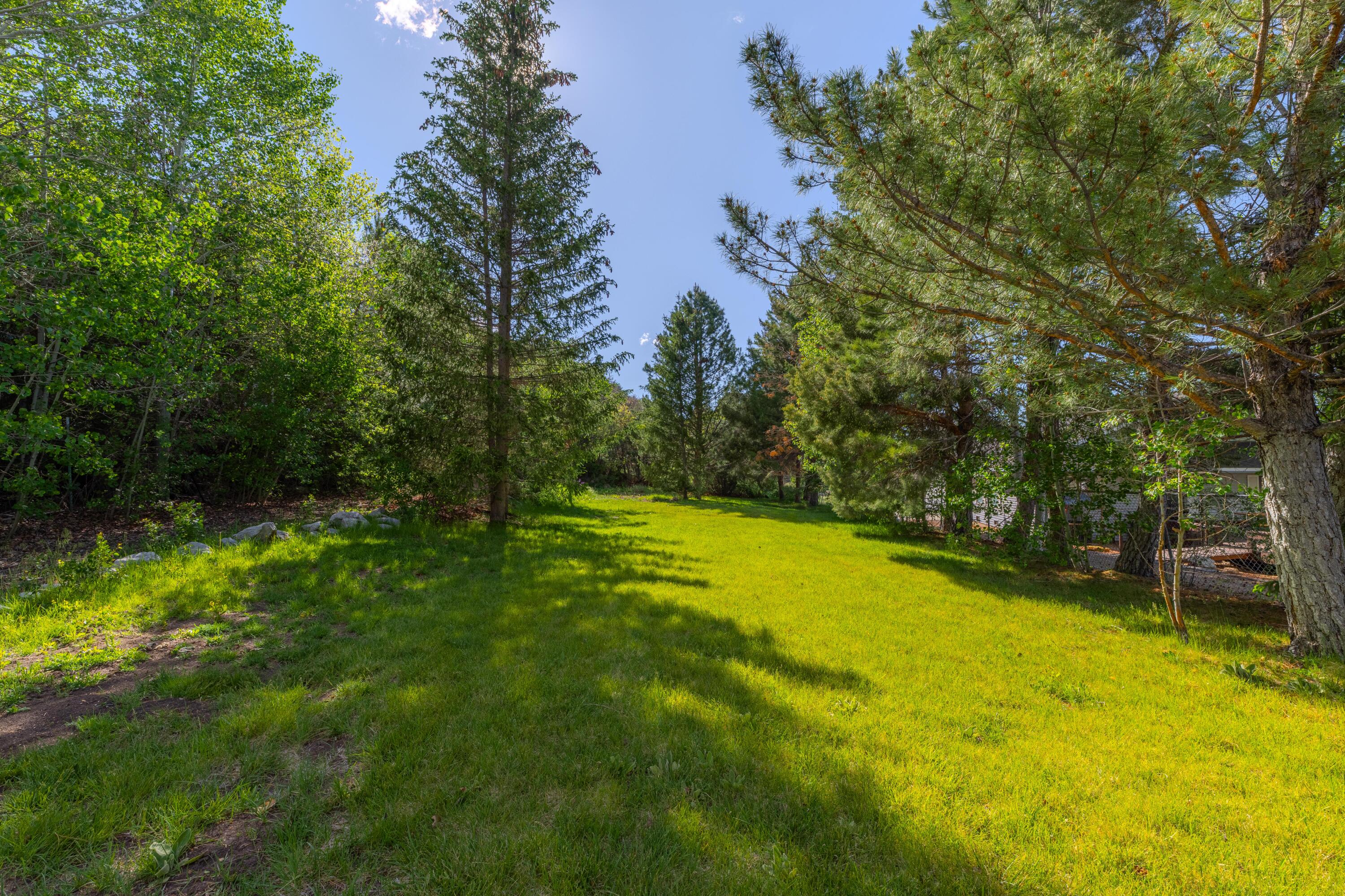 PINE VALLEY TOWNSITE SRVY - Residential
