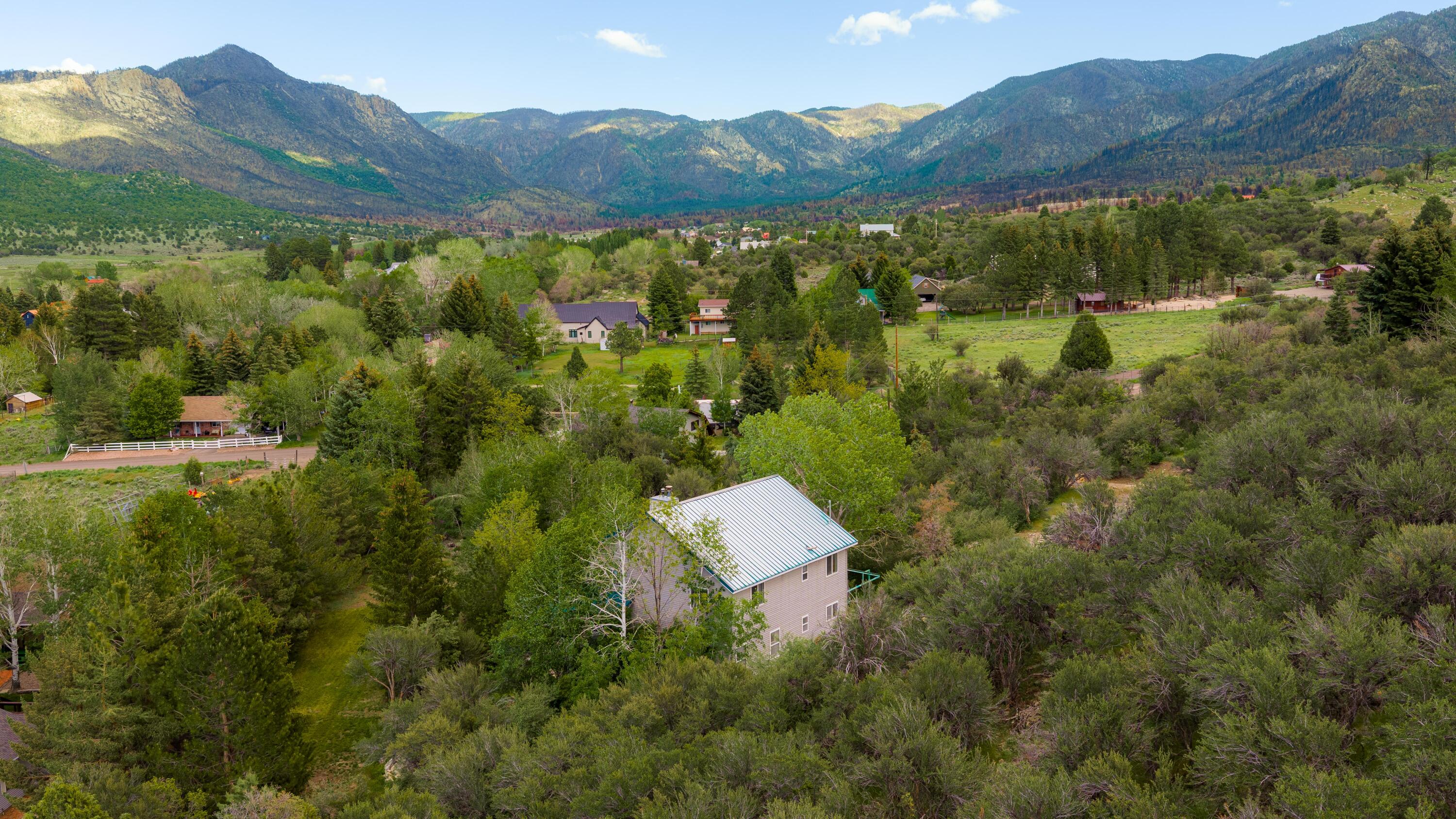 PINE VALLEY TOWNSITE SRVY - Residential