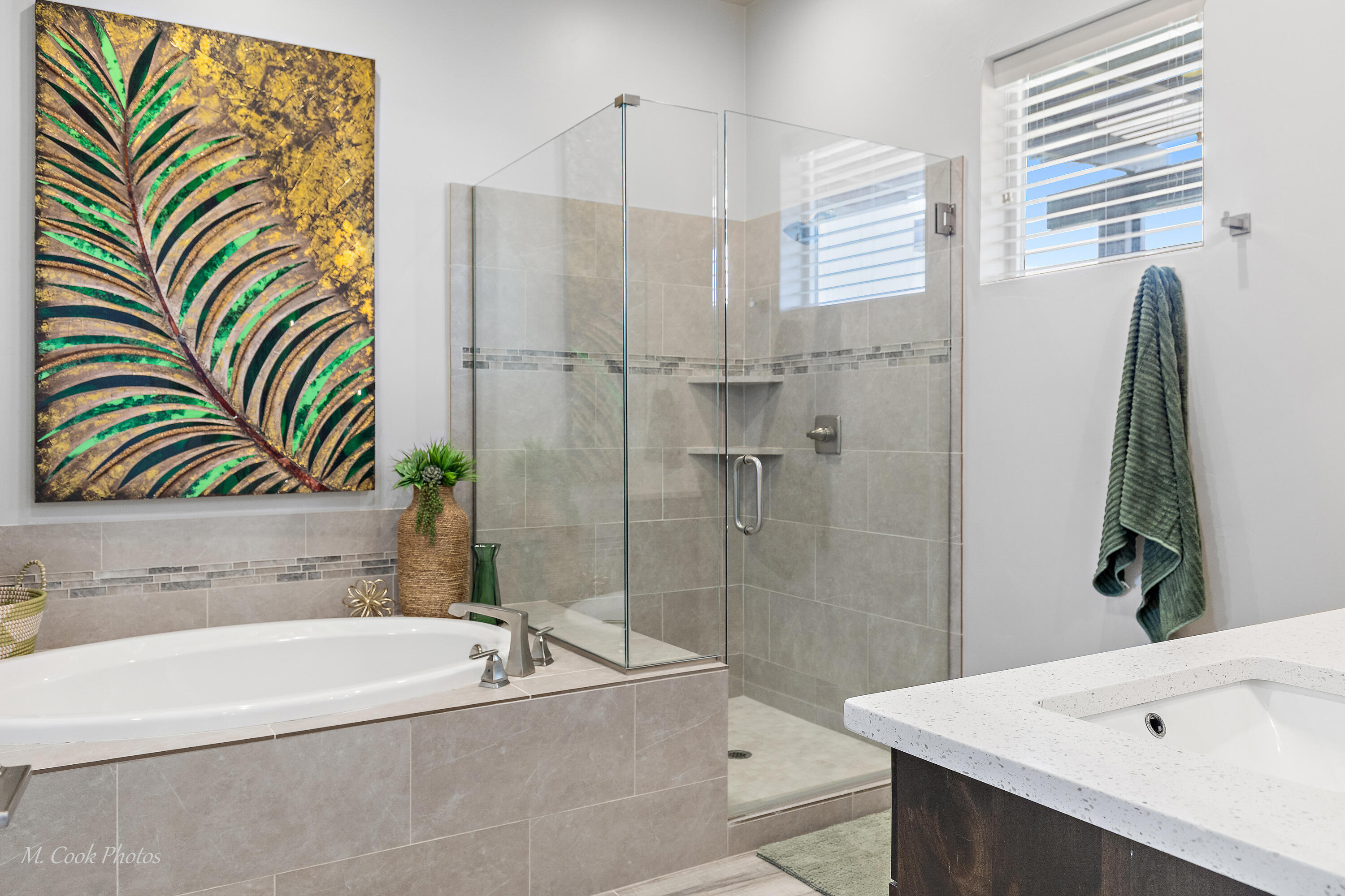 OCOTILLO SPRINGS SUB - Residential