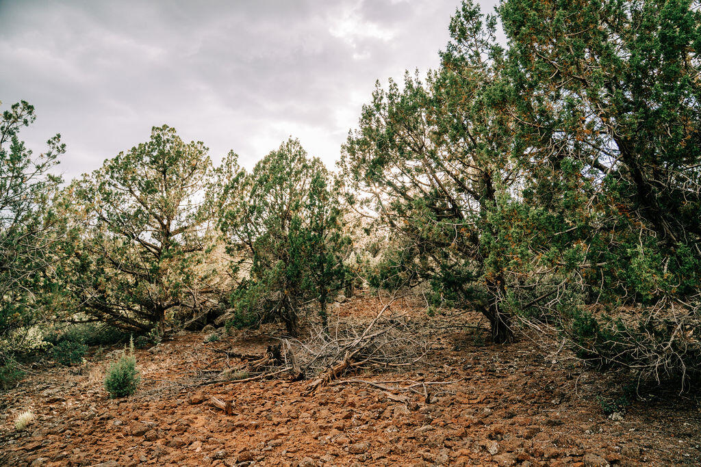 KOLOB RANCH ESTATES - Land