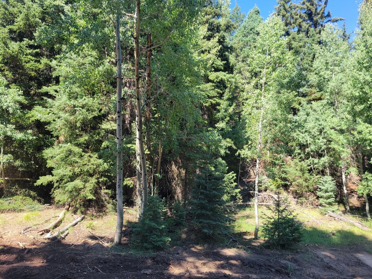 Nice building lot in the Bryce Woodlands Estates Subdivision with views of the surrounding mountains. This lot is ready to build your dream cabin. If you are looking for a place to get away from the noise, this is it. Electricity and communication lines are in the street. The lot is flat in the front and slopes upwards to the rear of the property. Bryce Woodlands Estates is a small hidden subdivision located on the back side of Bryce Canyon. You will find it tucked away under some gorgeous rock formations just off scenic Highway 89. Wildlife is abundant and enjoyed by all; trophy-sized deer roam this area and are often seen playing in the peaceful park within this subdivision.