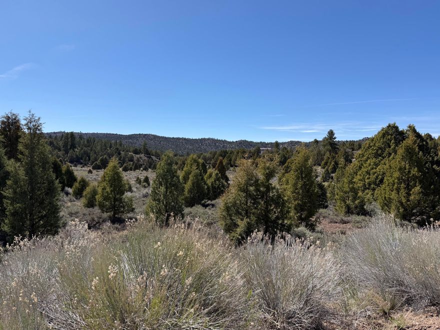 Large .90 acre lot perfect for a new Cabin or park your trailer. This property has no CCR's or HOA and only your imagination controls what you do with it. Located only a short distance from both Zion National Park and Bryce Canyon it would be perfect place to build a short term rental. Property has Water and Power in the street making building easy.