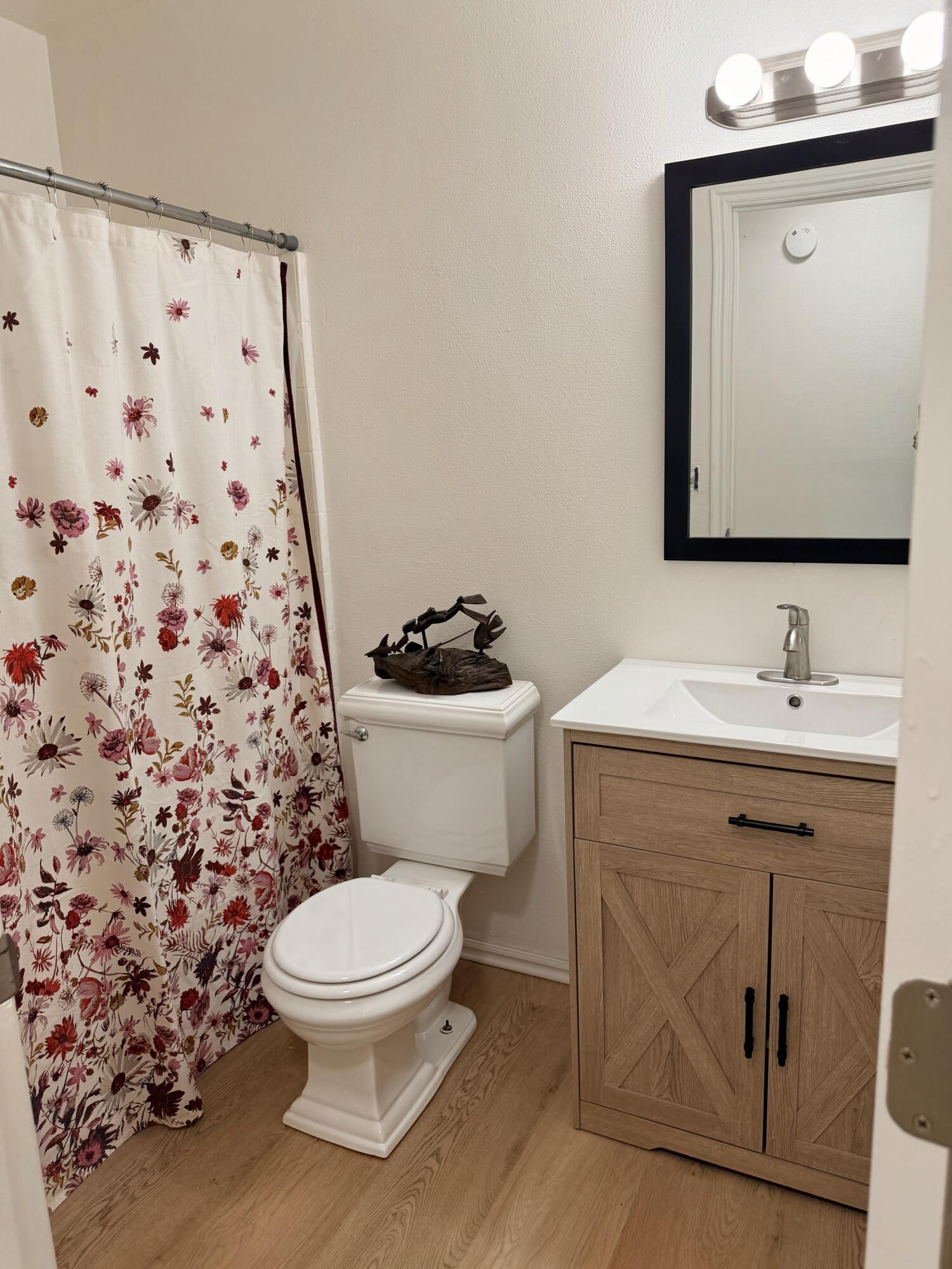 BUENA VISTA - Residential